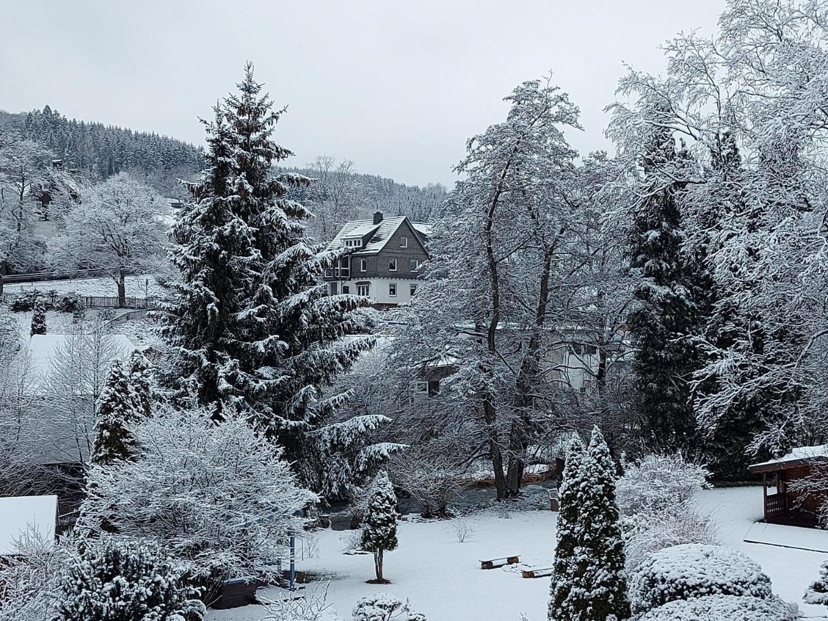 Maries Bunte Villa Bad Berleburg Luaran gambar